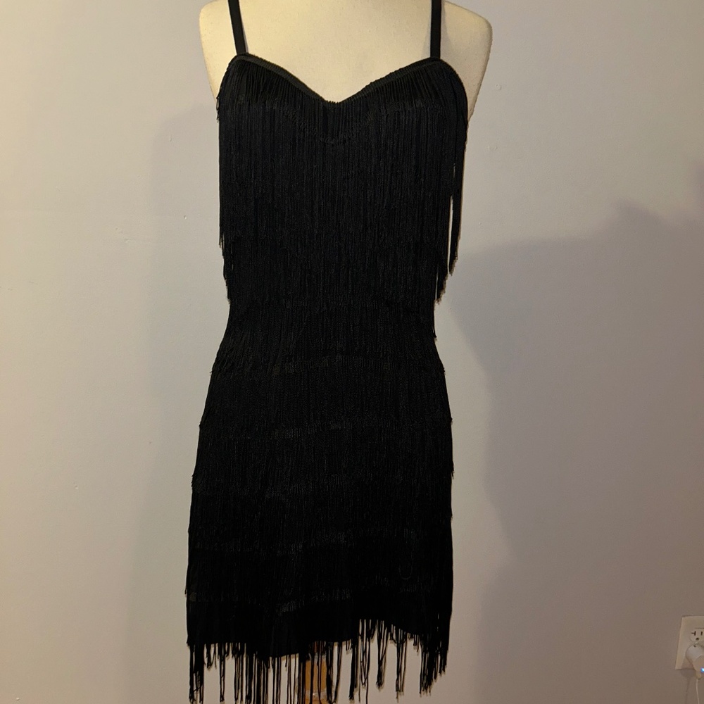 Trashy Diva Shimmy Flapper Fringe Dress
